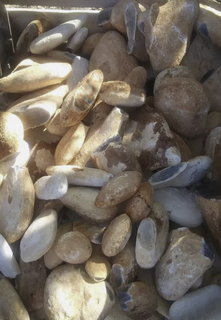 15 lbs Of High-Quality Georgetown Flint Whole Rock Free shipping