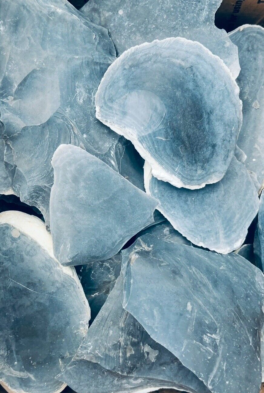 3 Pounds Of High Quality RARE Blue Georgetown Flint (Big Spalls) Flint Knapping