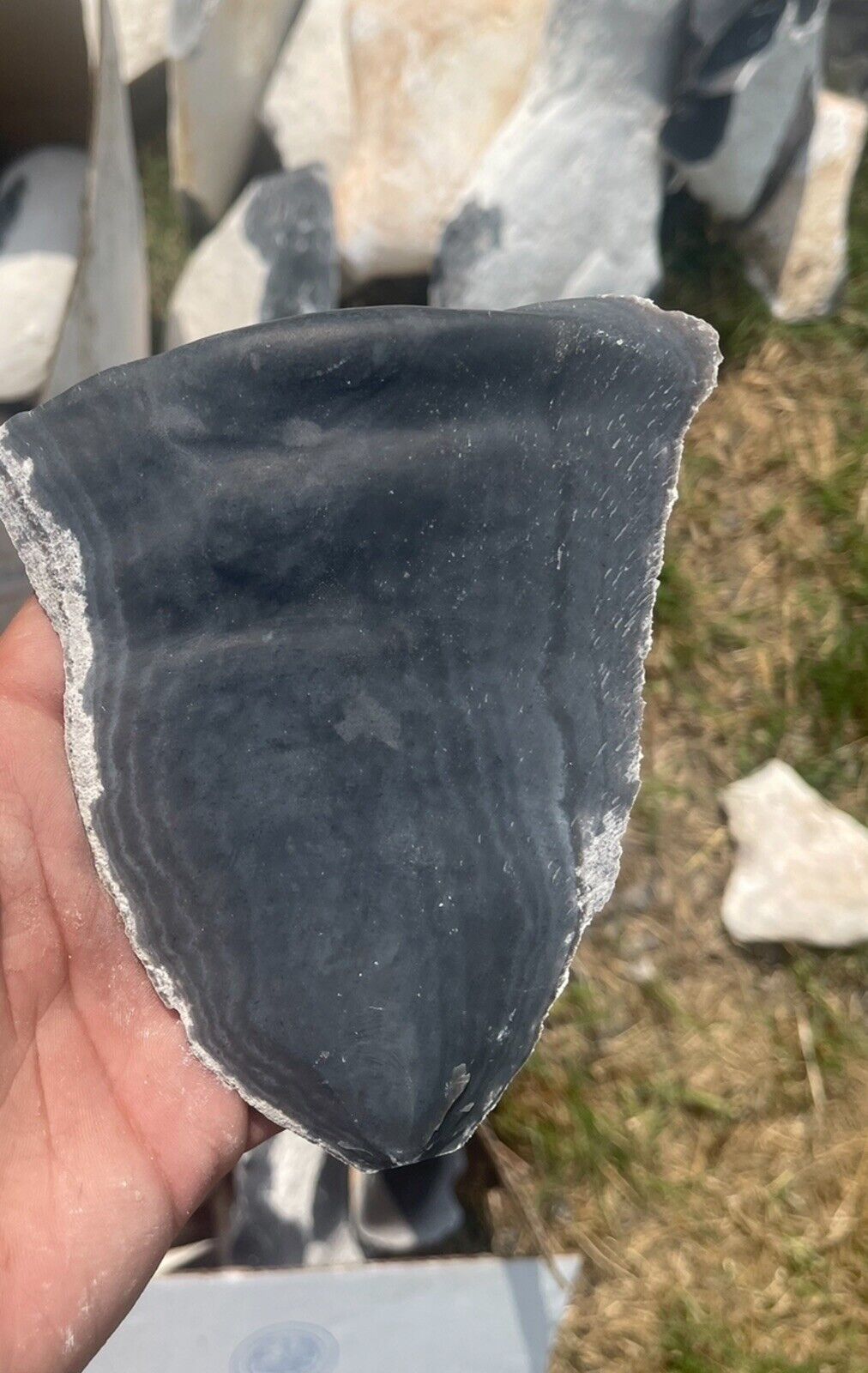 10 Pounds Of High Quality Blue Georgetown Flint (Whole Rock)Flint Knapping