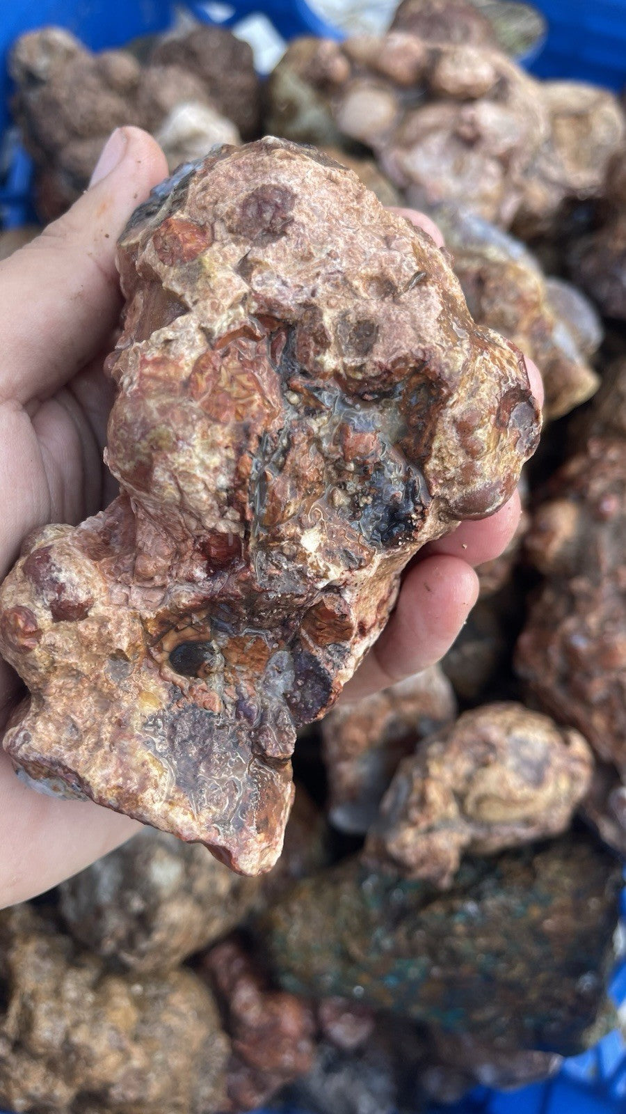 High Grade Uncut Cold Mountain Jasper Rough Zacatecas Mexico 5lbs Old Stock