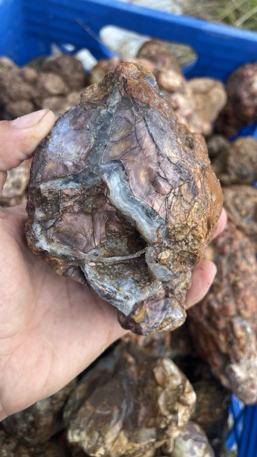 High Grade Uncut Cold Mountain Jasper Rough Zacatecas Mexico 5lbs Old Stock