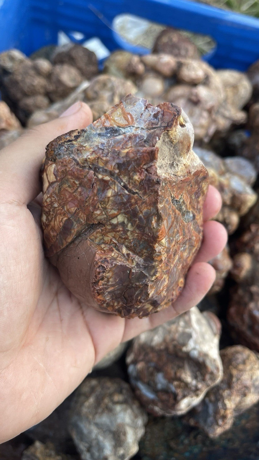 High Grade Uncut Cold Mountain Jasper Rough Zacatecas Mexico 5lbs Old Stock