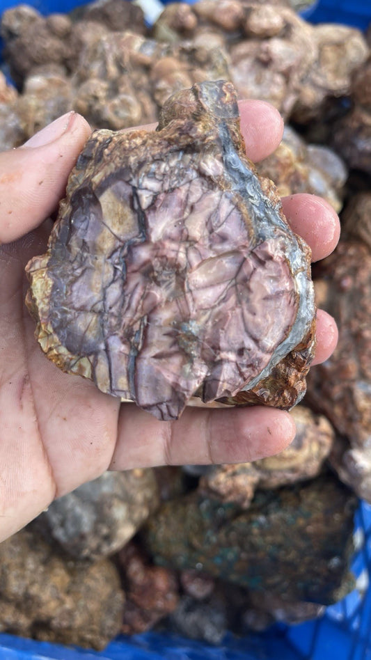 High Grade Uncut Cold Mountain Jasper Rough Zacatecas Mexico 5lbs Old Stock