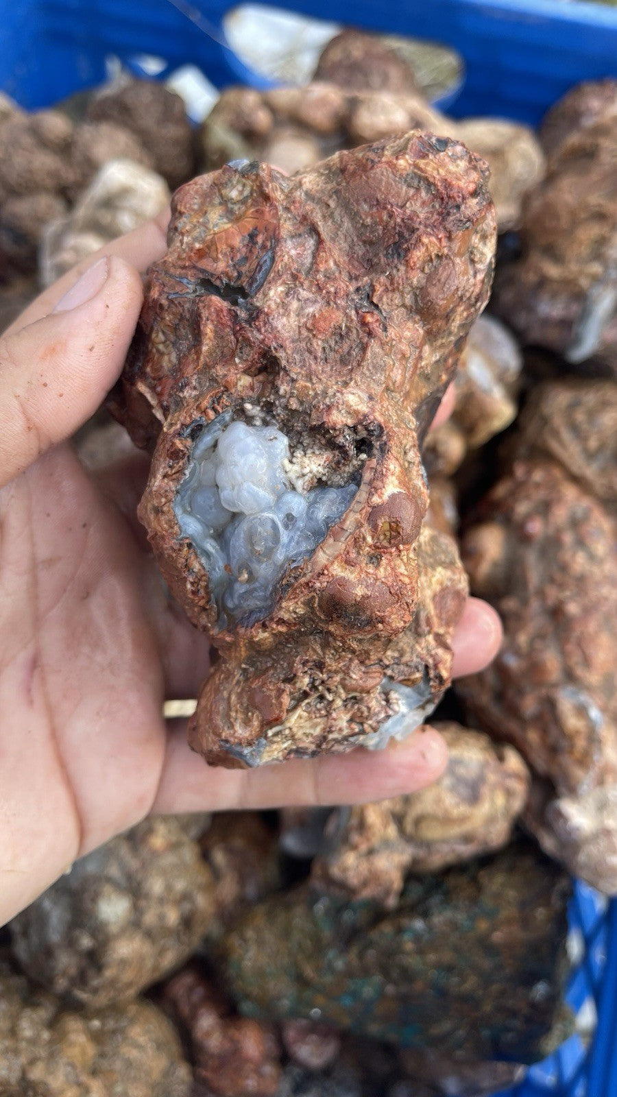 High Grade Uncut Cold Mountain Jasper Rough Zacatecas Mexico 5lbs Old Stock