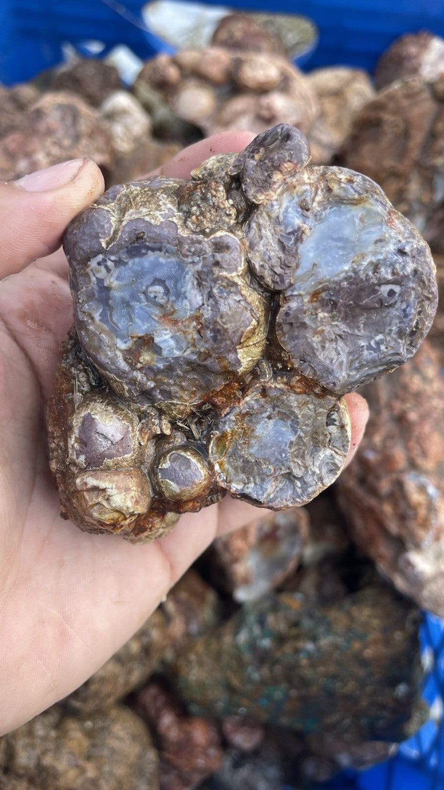 High Grade Uncut Cold Mountain Jasper Rough Zacatecas Mexico 5lbs Old Stock